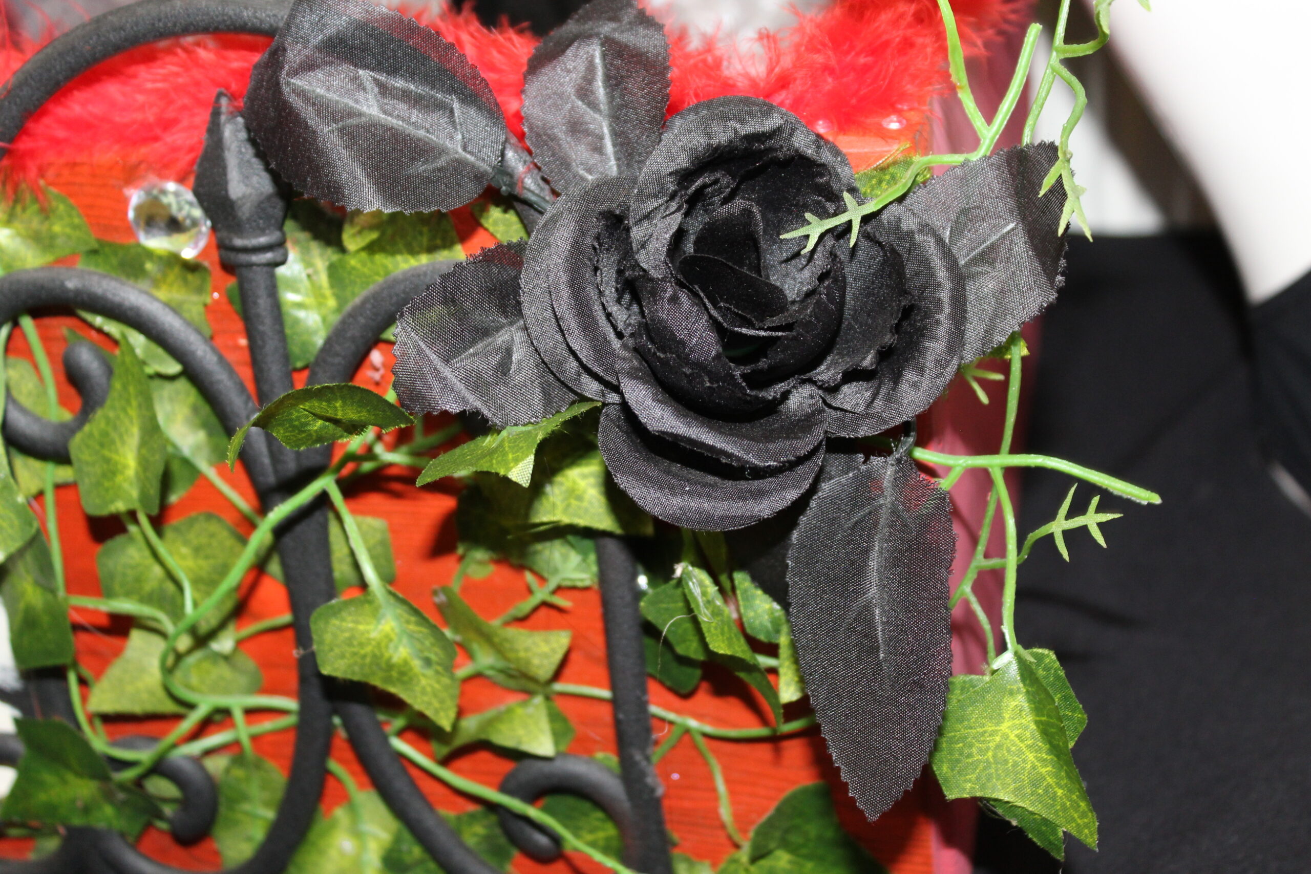 Close up of black rose on Rocky Horror card box